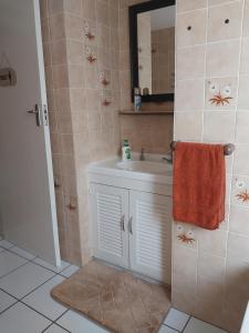 bagno con lavandino e specchio di Serenity Shores Backpackers a Città del Capo
