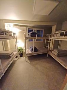 a room with three bunk beds in a room at Four Seasons House (Female only) in Seoul