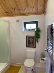 a small bathroom with a toilet and a window at The Firkin Lodge in Whaplode