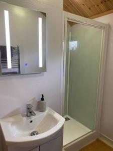 a bathroom with a sink and a shower at The Firkin Lodge in Whaplode