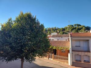 a tree in the middle of a street next to a house at Apartamentos Serrano in Ribatajada