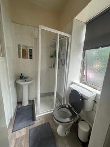 a small bathroom with a toilet and a sink at Unique Flat in the City Center in Dublin