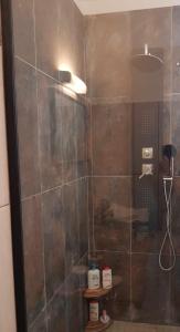 uma casa de banho com um chuveiro e uma porta de vidro em VILLA TI COIN FRAIS em La Plaine des Palmistes