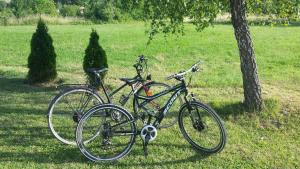 two bikes parked next to a tree in a field at Jelena in Korenica