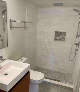 a bathroom with a shower and a toilet and a sink at Historic 2 Bedroom with marble baths and water views in Newburyport