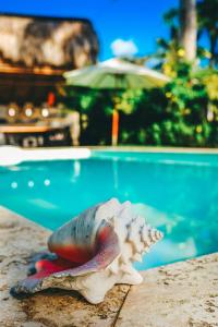 a fish in a shell next to a swimming pool at Hotel Enjoy in Las Terrenas