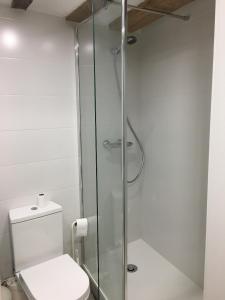 a bathroom with a toilet and a glass shower at APARTANENTO LOFT LAUREL coqueto con Wifi y aire in Logroño