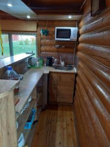 a kitchen with a sink and a microwave at Holiday home Tūjas in Krāslava