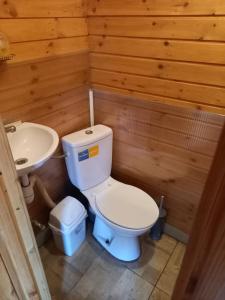 a bathroom with a toilet and a sink at Holiday home Tūjas in Krāslava