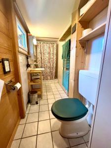 bagno con servizi igienici e sedile verde di Chalet Sonnenheim, Wohnung mit Panoramafenster ad Adelboden