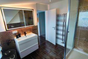 a bathroom with a sink and a shower and a mirror at Ferienhaus an der Elbe - XR32 in Seevetal