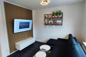 ein Wohnzimmer mit einem schwarzen Sofa und einem TV in der Unterkunft Ferienhaus an der Elbe - XR32 in Seevetal
