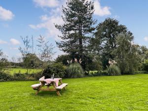 a picnic table and a bench in a field at Chestnut Cottage in Wookey