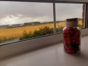uma garrafa no peitoril de uma janela com vista para um campo em Wolds View Hideaway em Scarborough