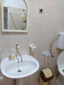 La salle de bains est pourvue d'un lavabo et de toilettes. dans l'établissement Villa Greta Pipile, à Ohrid