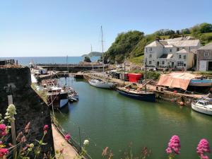 a group of boats are docked in a harbor at Dragonfly Cottage in St Austell