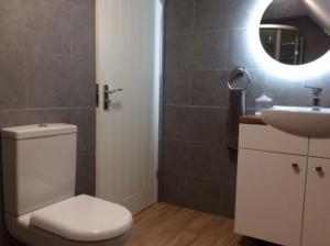 Country Studio Apartment في Charlton: حمام مع مرحاض أبيض ومغسلة