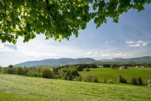 um campo de relva verde com montanhas ao fundo em Monteurzimmer am Teisenberg em Neukirchen am Teisenberg