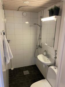 a bathroom with a sink and a toilet and a mirror at Harju Apartment in Jyväskylä