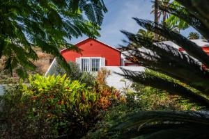 Ein Garten an der Unterkunft Casa El Drago 2