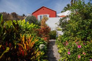 Ein Garten an der Unterkunft Casa El Drago 2