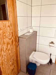 Baño pequeño con aseo y lavamanos en Extertal-Ferienpark - Premium-Ferienhaus Sonnenschein #56a, en Extertal
