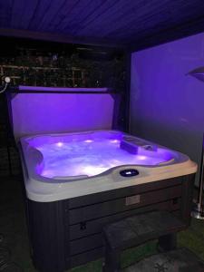 a purple bath tub in a room at Jorvik Villa in York