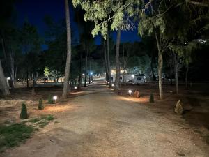 a park at night with trees and lights at VILLAS LAS LAGUNAS 1 in Ossa de Montiel