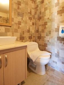 a bathroom with a toilet and a sink at Hotel La Iguana de Santa fe De Antioquia in Santa Fe de Antioquia