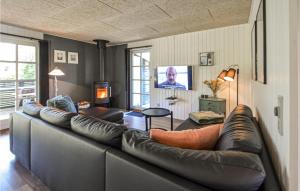 ThyholmにあるGorgeous Home In Thyholm With Wifiのリビングルーム(革張りのソファ、テレビ付)
