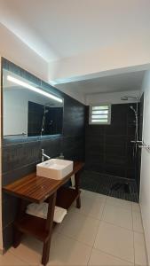 een badkamer met een wastafel en een douche bij Bel'Vie in Le François