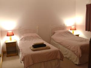 a bedroom with two twin beds and two lamps at Willow Down in Downham