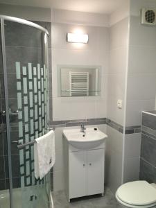 a bathroom with a sink and a shower and a toilet at Ubytování ABC in Český Krumlov