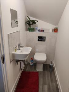 a small bathroom with a toilet and a sink at CosyHome in Wellingborough