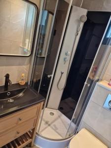 een badkamer met een douche en een wastafel bij STUDIO - VAKANTIEPARK GROTE ZEEMEEUWEN KOKSIJDE in Koksijde