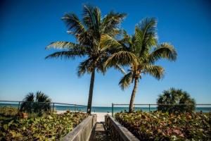 dos palmeras en la playa con el océano en el fondo en Ocean Landings Resort & Racquet Club, en Cocoa Beach
