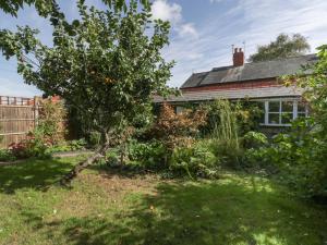 a garden with an orange tree in front of a house at Thyme Cottage in Great Malvern