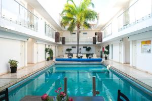 a swimming pool with a palm tree in a building at Hotel St. George in Celaya