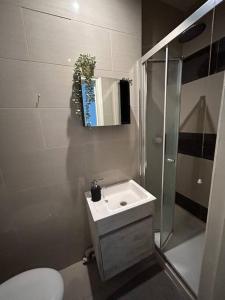 a bathroom with a toilet and a sink and a shower at 1 Bed apartment with a balcony in London