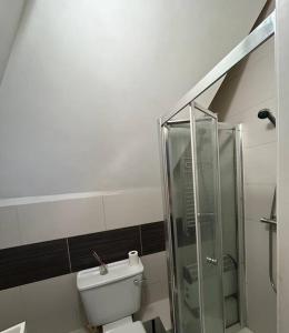 a bathroom with a toilet and a glass shower at 1 Bed apartment with a balcony in London