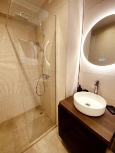 La salle de bains est pourvue d'un lavabo et d'une douche. dans l'établissement Appartement en centre-ville, à Saint-Avold