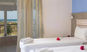 Gallery image of Jason Apartments in Paralia Katerinis