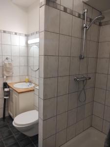 ein Bad mit einer Dusche, einem WC und einem Waschbecken in der Unterkunft Dtown Apartment for 2-3 persons in Reykjavík