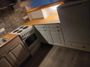 eine Küche mit einem weißen Herd und einem Kühlschrank in der Unterkunft Dtown Apartment for 2-3 persons in Reykjavík