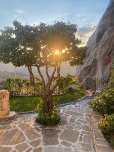 a tree in a stone walkway with the sun behind it at B&B L'Arenaria in Pietrapertosa
