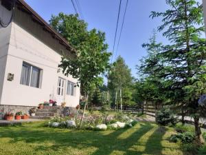 a house with a garden in front of it at Casa Ilinca in Şimon