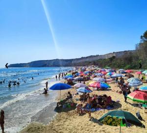 a crowd of people on a beach with umbrellas at Eraclea Minoa Apartments in Eraclea Minoa