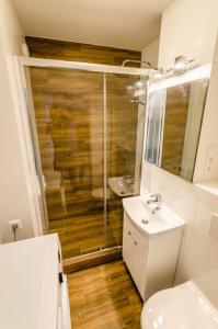 a bathroom with a shower and a toilet and a sink at Apartament Krasiczyńska in Warsaw