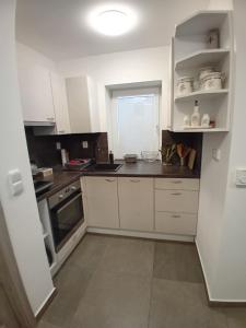 Cucina o angolo cottura di Nový byt Liberec 30