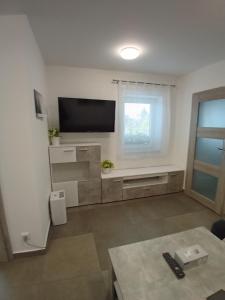 TV o dispositivi per l'intrattenimento presso Nový byt Liberec 30